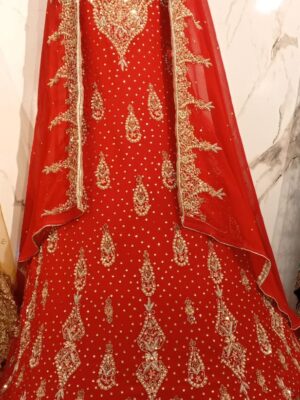 red cloths Bridal Lehenga with Intricate Gold